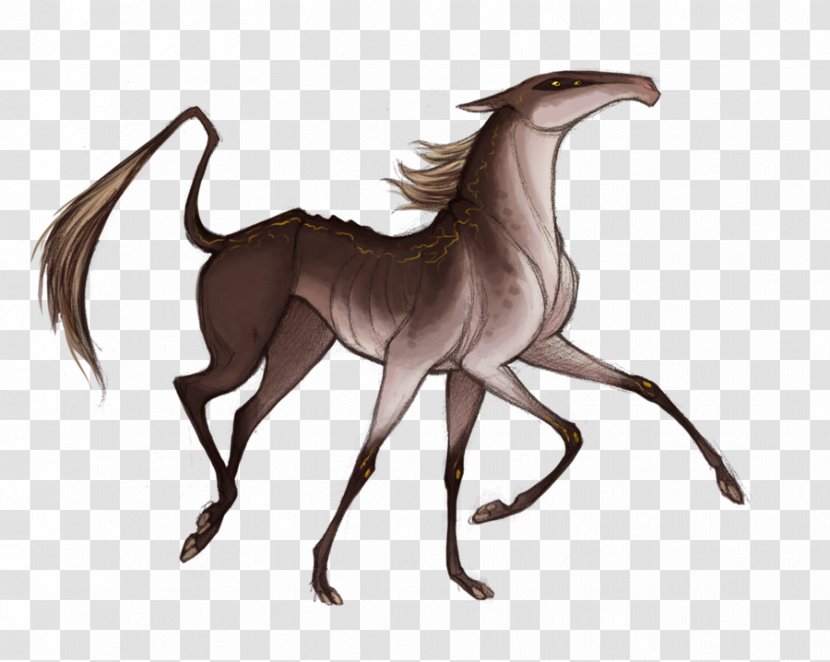 Drawing DeviantArt Mustang Pony - Neck Transparent PNG
