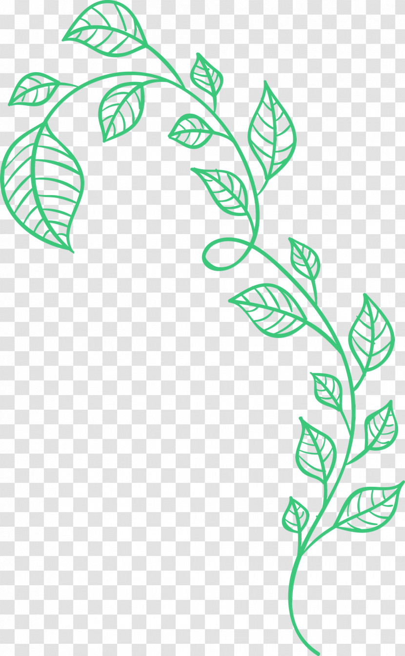 Line Art Leaf Green Plant Plant Stem Transparent PNG