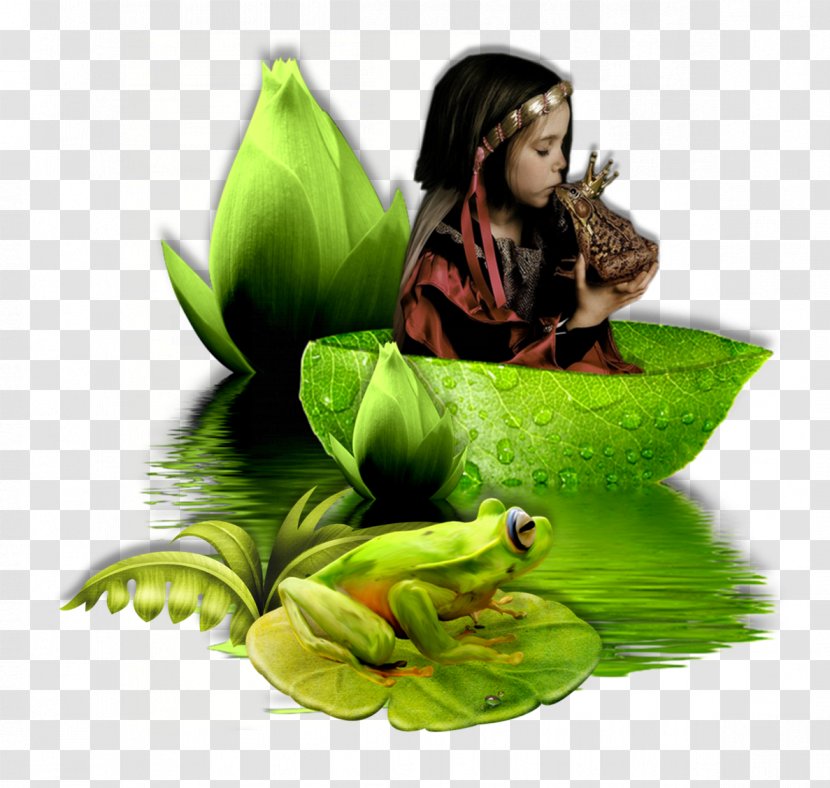 Centerblog La Reine Des Grenouilles - Leaf - Mondial Transparent PNG