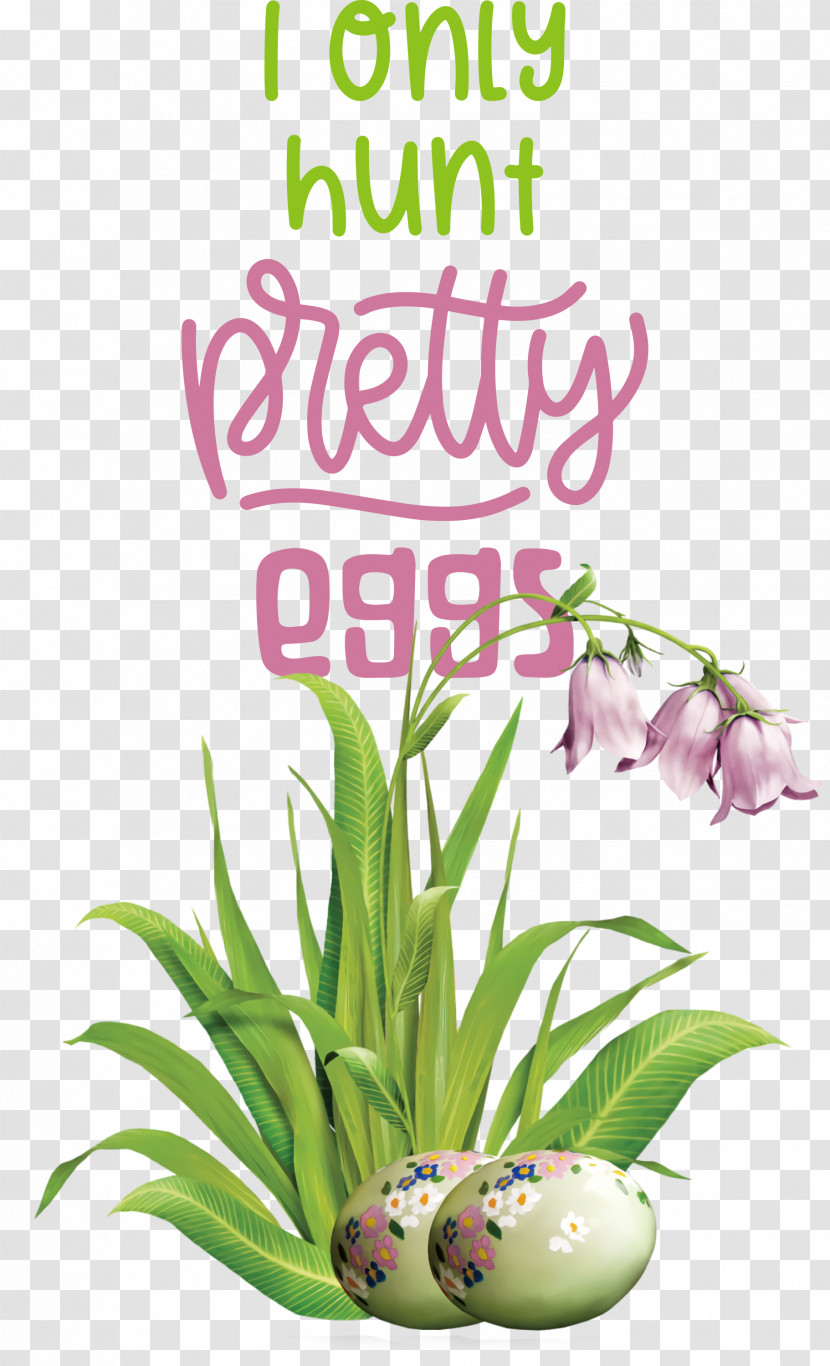 Hunt Pretty Eggs Egg Easter Day Transparent PNG