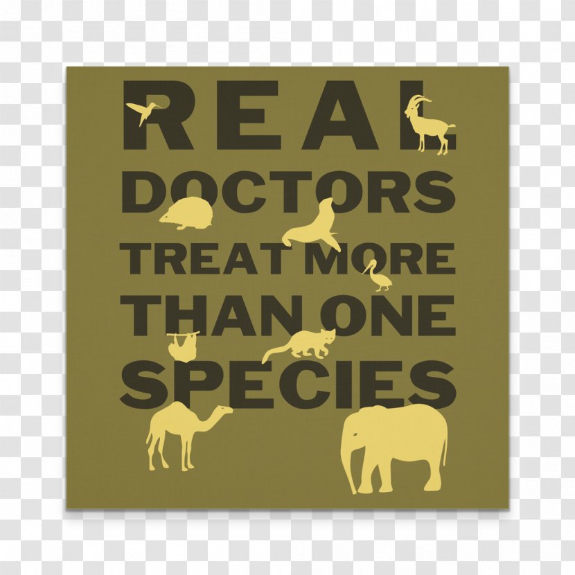 Mammal Square Meter Font - Label - Real Doctors Transparent PNG