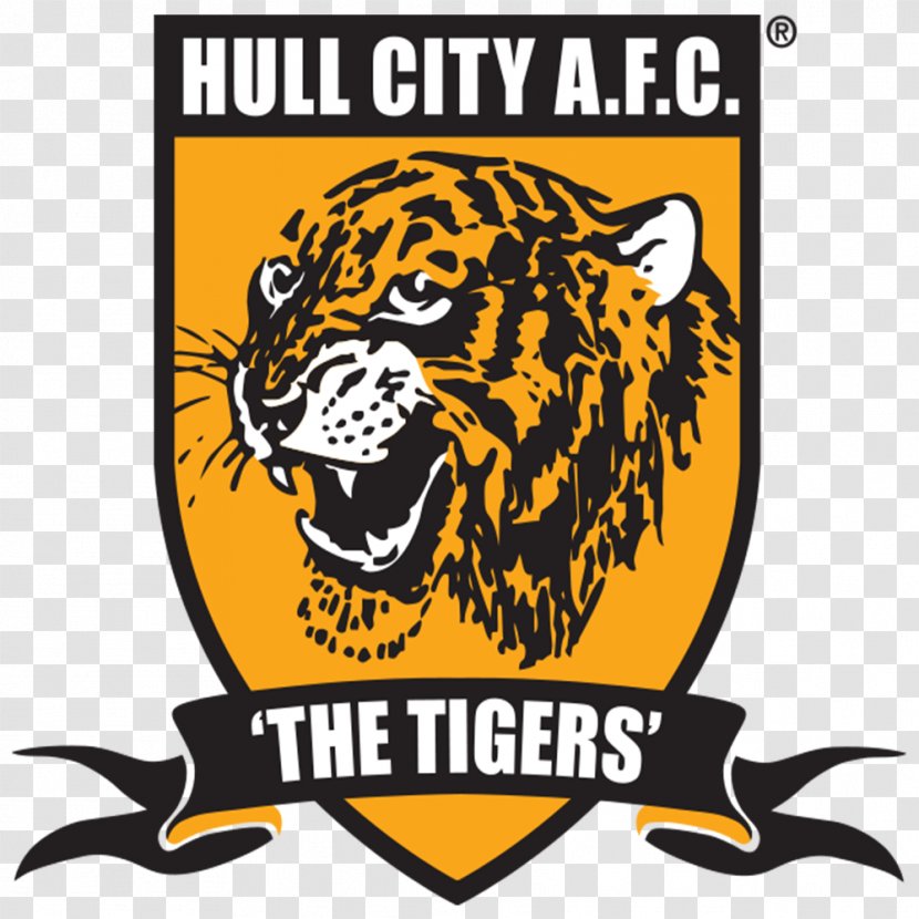 Hull City KCOM Stadium 2013–14 Premier League Stoke F.C. Swansea A.F.C. - Cat Like Mammal - Football Transparent PNG