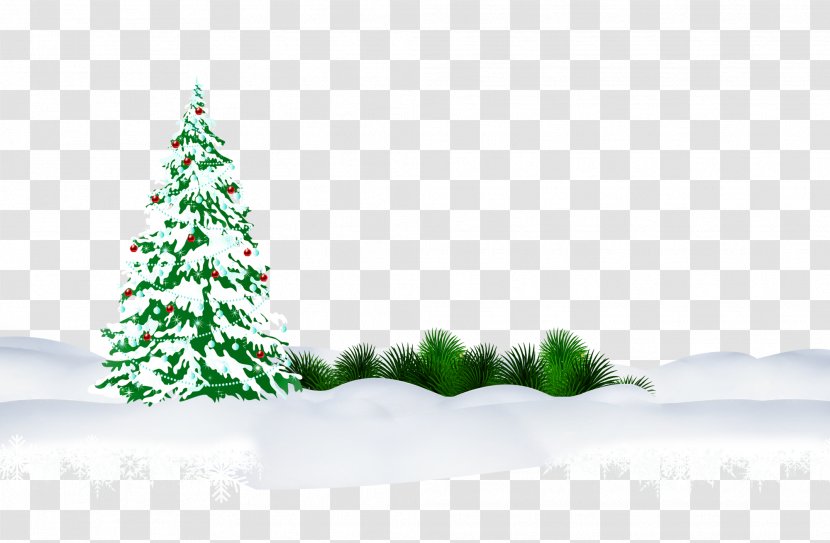Christmas Tree Snow Clip Art - Fir Transparent PNG