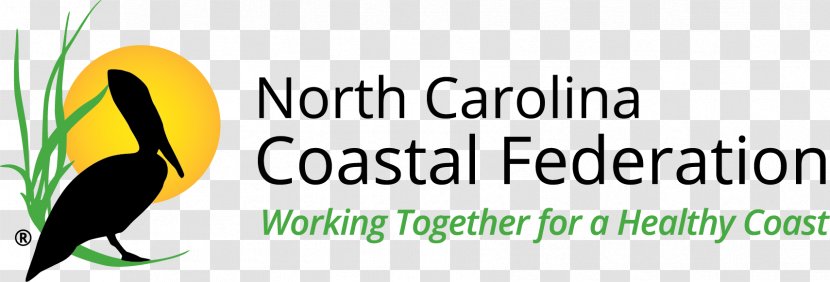 Outer Banks Manteo Wrightsville Beach North Carolina Aquariums Coastal Federation - United States - Organism Transparent PNG