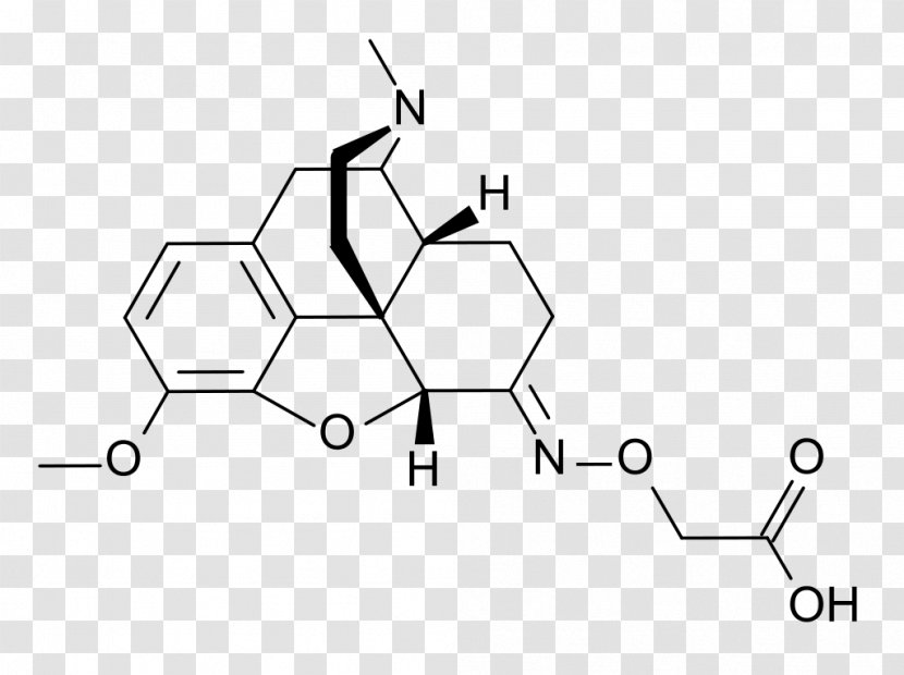 Hydromorphone Oxycodone Opioid Opium Poppy Drug - Line Art - Druge Transparent PNG