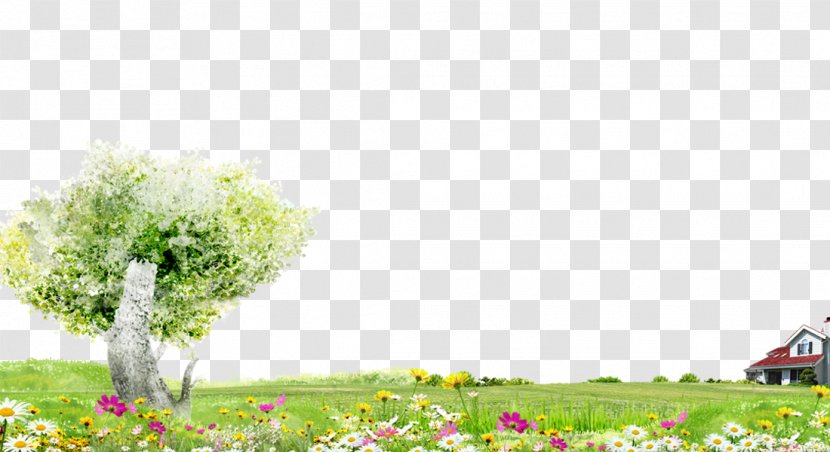 Trees And Flowers Green Grass Background Material - Meadow - Lawn Transparent PNG