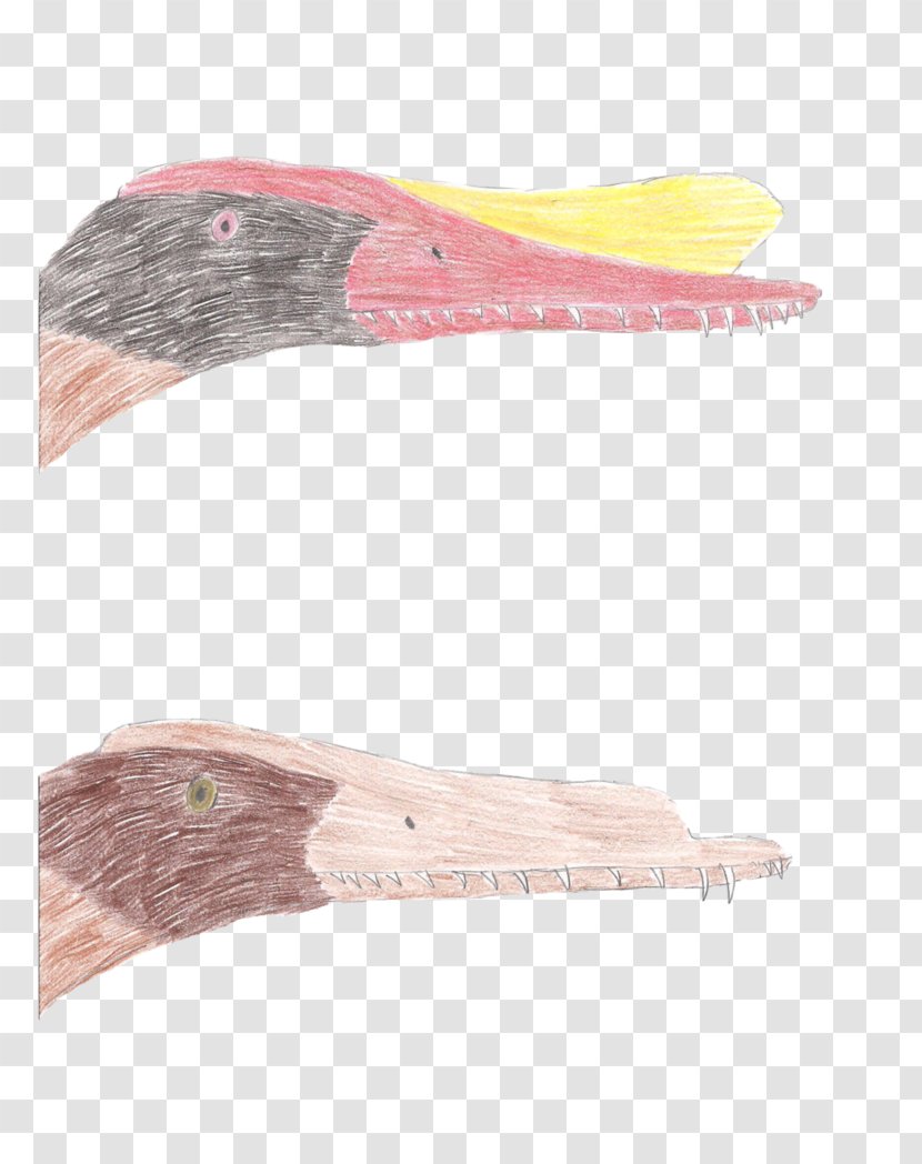 Saurornithoides Hamipterus Bird Dinosaur Pterosaurs - Art Transparent PNG