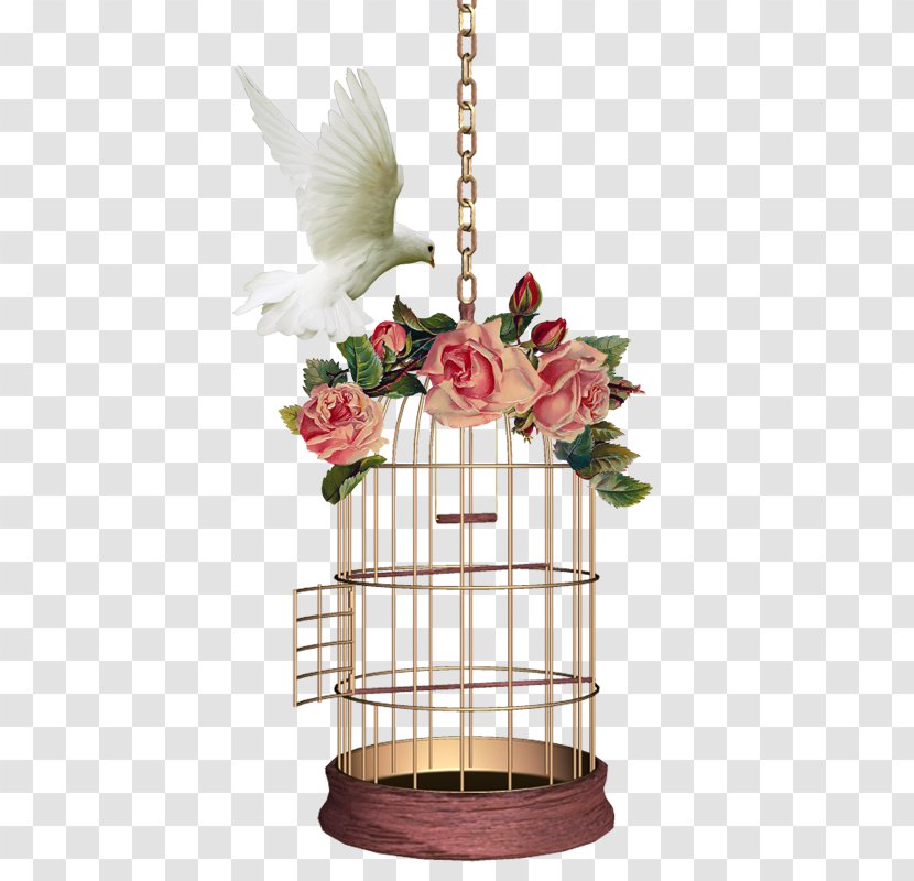 Birdcage Domestic Pigeon Canary - Bird Feeders Transparent PNG