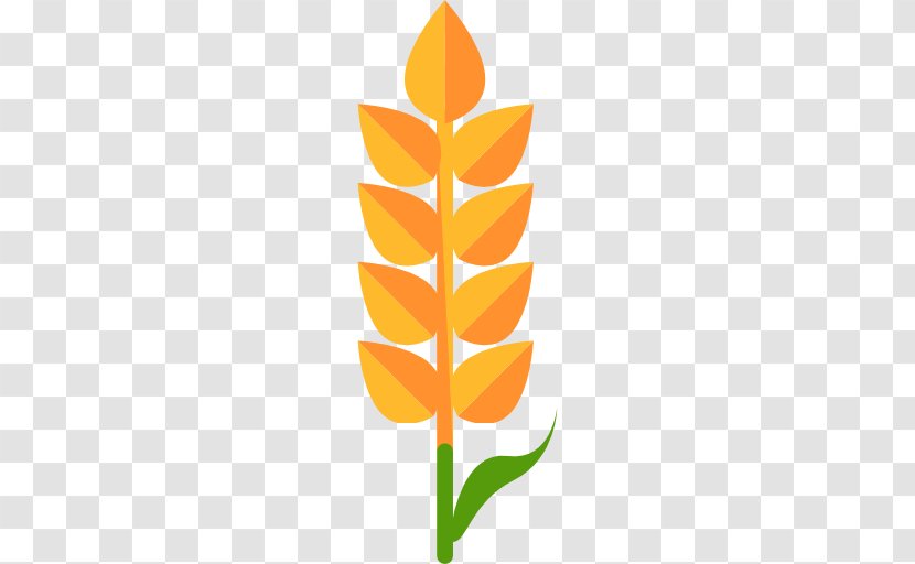 Sustainable Agriculture Farm Crop - Orange - A Golden Wheat Transparent PNG