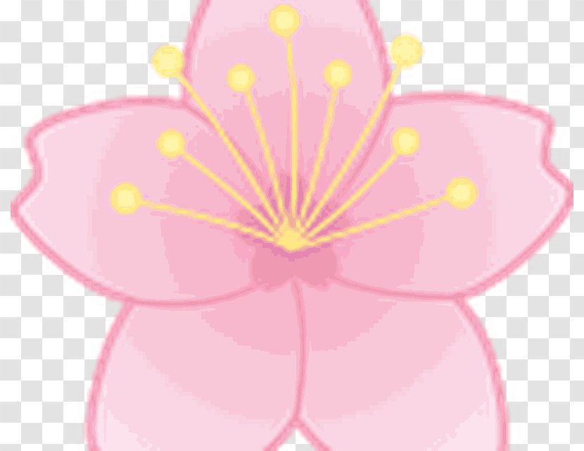Pink M Flowering Plant Clip Art - Flower - Design Transparent PNG