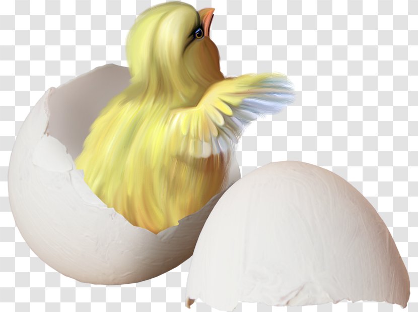 Chicken Kifaranga Clip Art - Easter Egg Transparent PNG