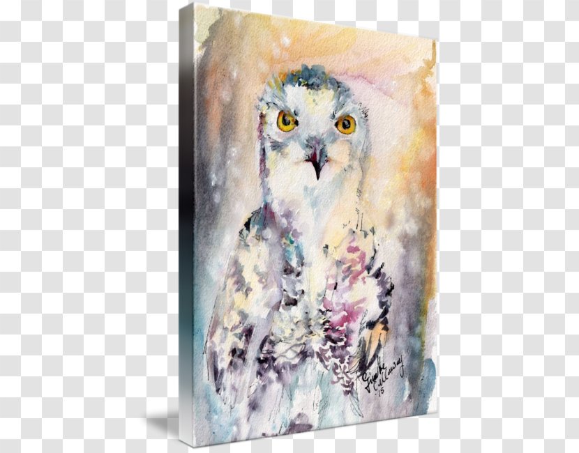 Owl Watercolor Painting Acrylic Paint - Snow Transparent PNG