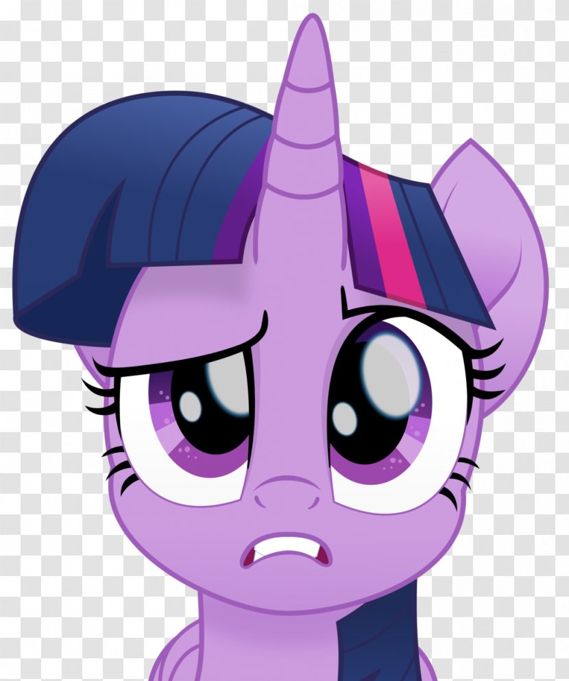Twilight Sparkle Pinkie Pie Sunset Shimmer My Little Pony - Frame - Deal With It Transparent PNG