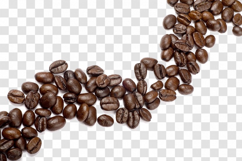 Coffee Bean Cappuccino Cafe Single-origin - Singleorigin - Aromatic Background Transparent PNG
