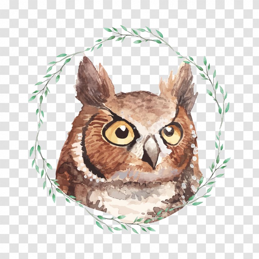 Owl Watercolor Painting Poster Illustration - Vector Transparent PNG