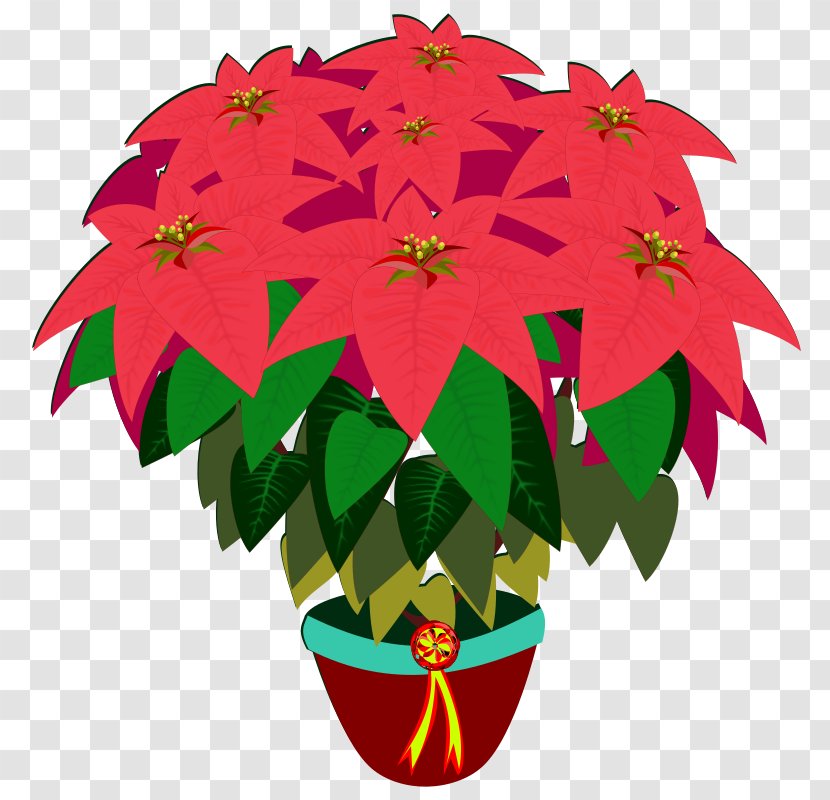 Flower Clip Art Poinsettia Image - Drawing Transparent PNG