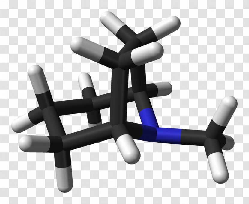Tropane Alkaloid 3-(p-Fluorobenzoyloxy)tropane Hyoscyamus Niger - Furniture Transparent PNG