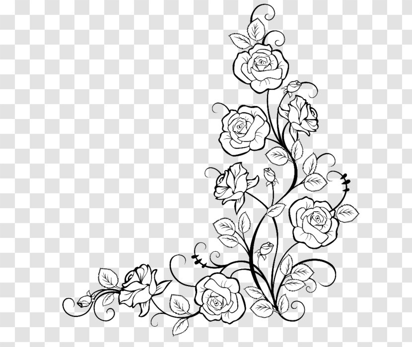 Borders And Frames Coloring Book Rose Drawing Flower - Plant Transparent PNG