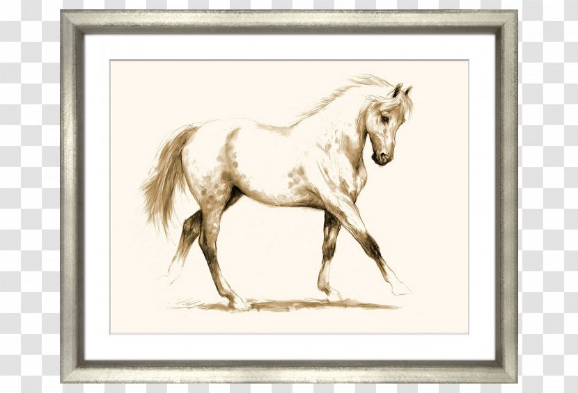 Drawing Horse Painting Art - Mane - Hand-painted Frame Creative Image,horse Transparent PNG