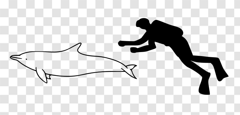 Short-beaked Common Dolphin Spinner River Clymene Long-beaked - Cartoon Transparent PNG