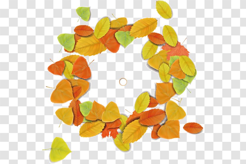 Maple Leaf Circle Autumn - Fruit - Leaves Material Transparent PNG