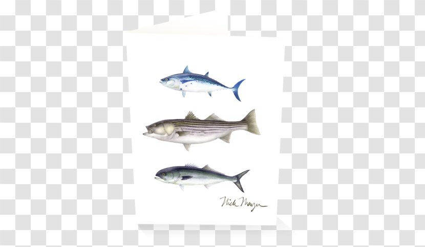 Gift Card Sardine The Saltwater Edge Marine Biology - Milkfish - Grand Slam Transparent PNG