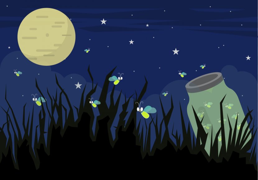 Beetle Firefly If(we) Illustration - Space - Vector Transparent PNG