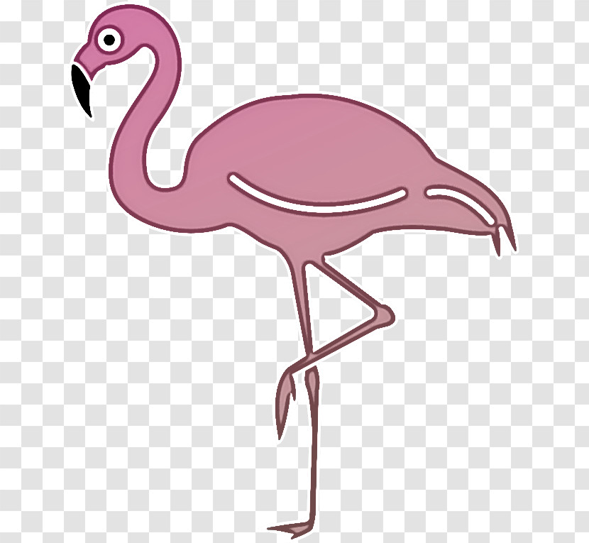 Flamingo Transparent PNG