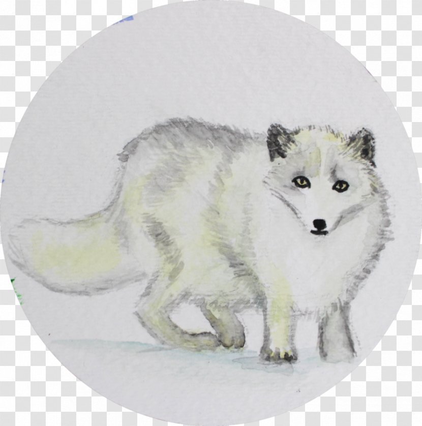 Dog Arctic Fox Alaskan Tundra Wolf Red Canidae - Carnivora Transparent PNG