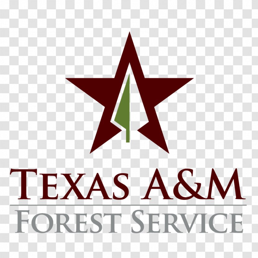 Texas A&M University Forest Service United States Urban Forestry - Tree - Business Transparent PNG
