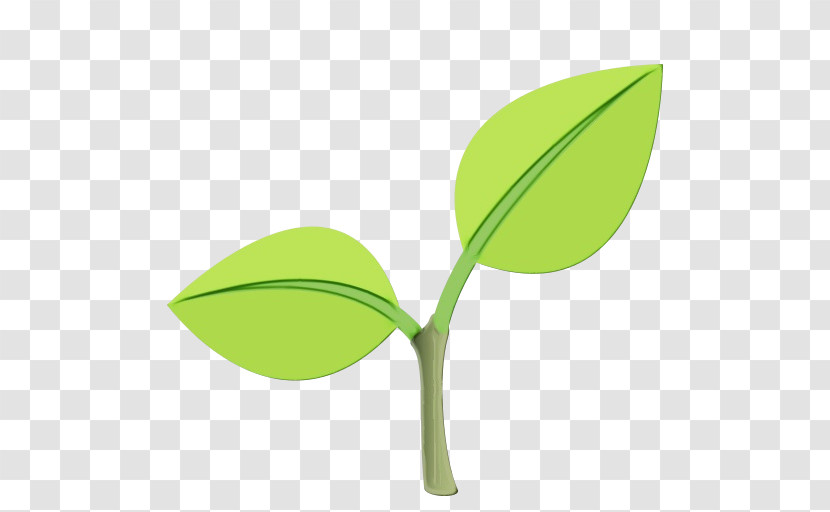 Leaf Plant Stem Green Line Font Transparent PNG