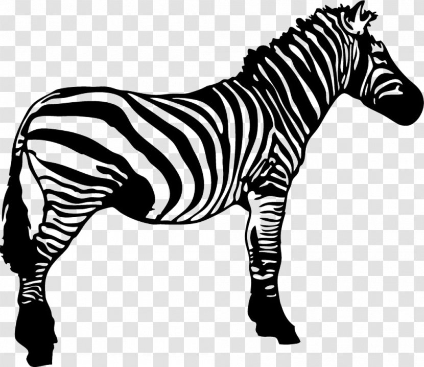 Zebra Clip Art - Terrestrial Animal Transparent PNG