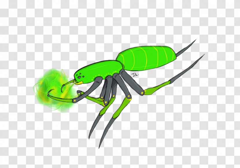 Insect Weevil Clip Art - Membrane Winged Transparent PNG