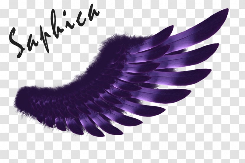Wing Logo Purple Clip Art - Angel Transparent PNG