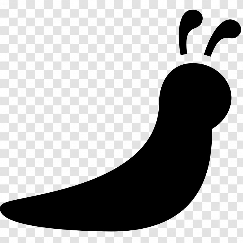 Slugs And Snails Clip Art - Artwork - Snail Transparent PNG