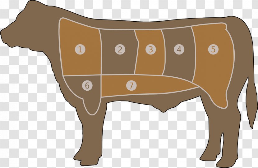 Beef Cattle Ribs Meat Brisket - Snout - Clarabelle Cow Transparent PNG