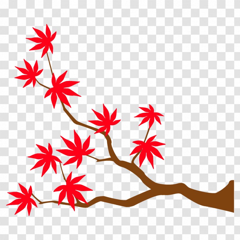 Maple Branch Leaves Autumn Tree - Flower Transparent PNG