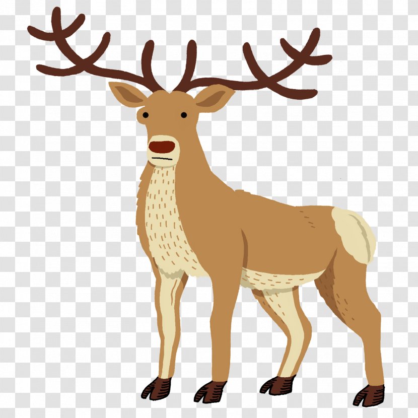 Reindeer Red Deer Drawing Elk - Tail - Correspondence Transparent PNG