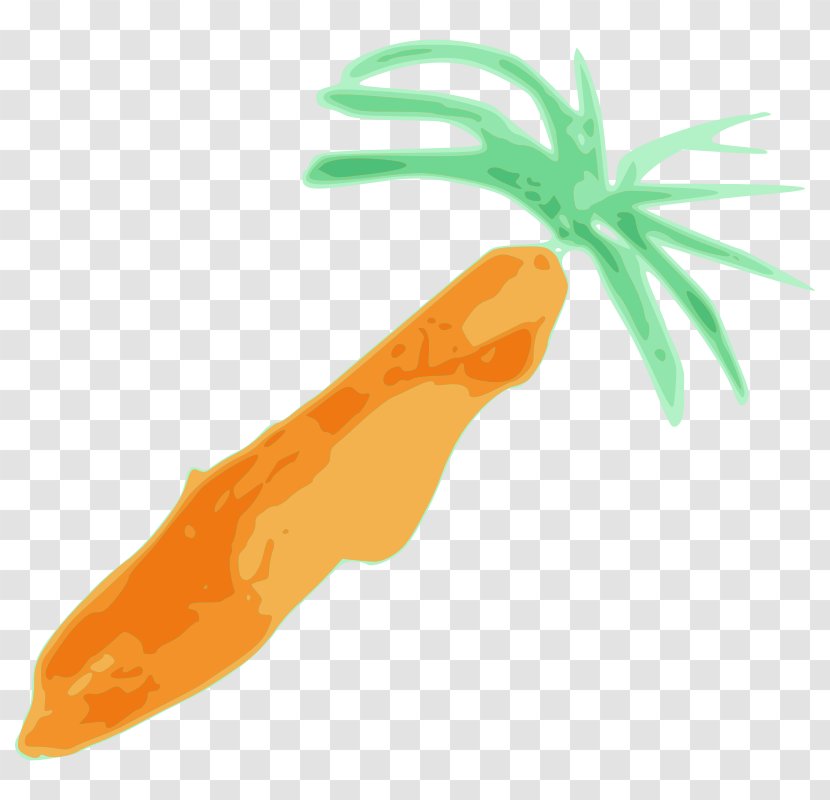 Baby Carrot Clip Art - Free Content - Picture Transparent PNG