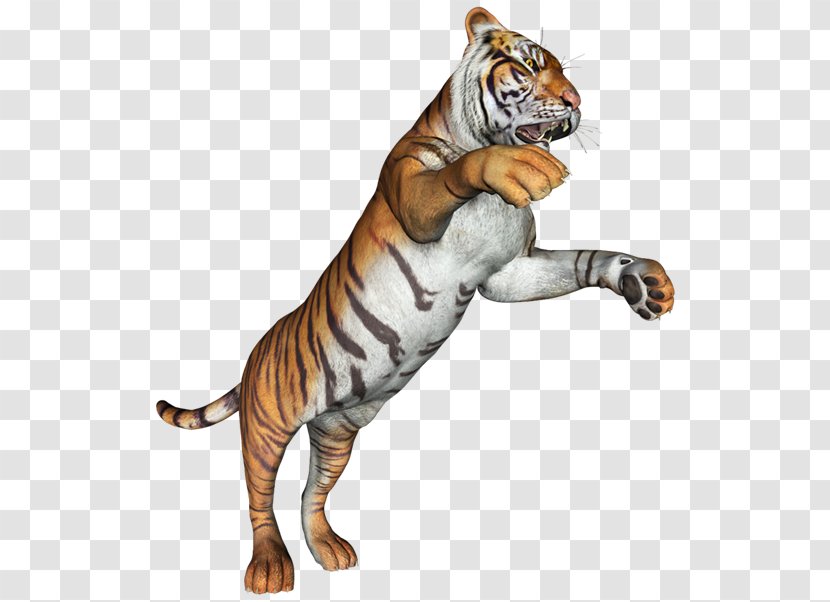 Stalking Tiger Gray Wolf Cat Terrestrial Animal - Roar Transparent PNG