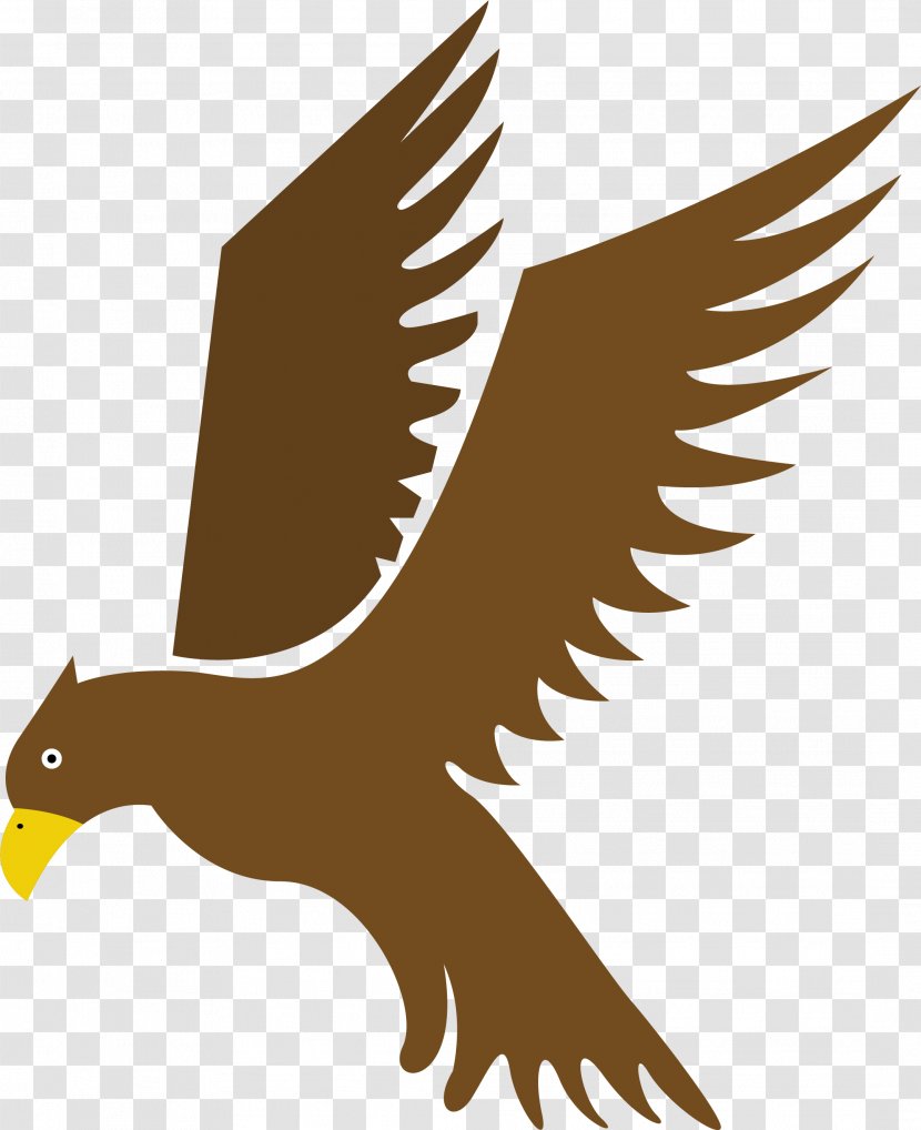 Eagle Bird Hawk Flight - Wing - Bow Transparent PNG