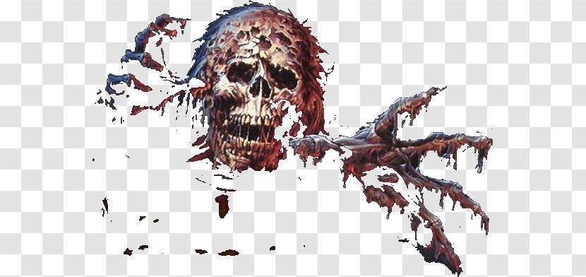 Skeleton Skull Desktop Wallpaper Organism - Tree Transparent PNG