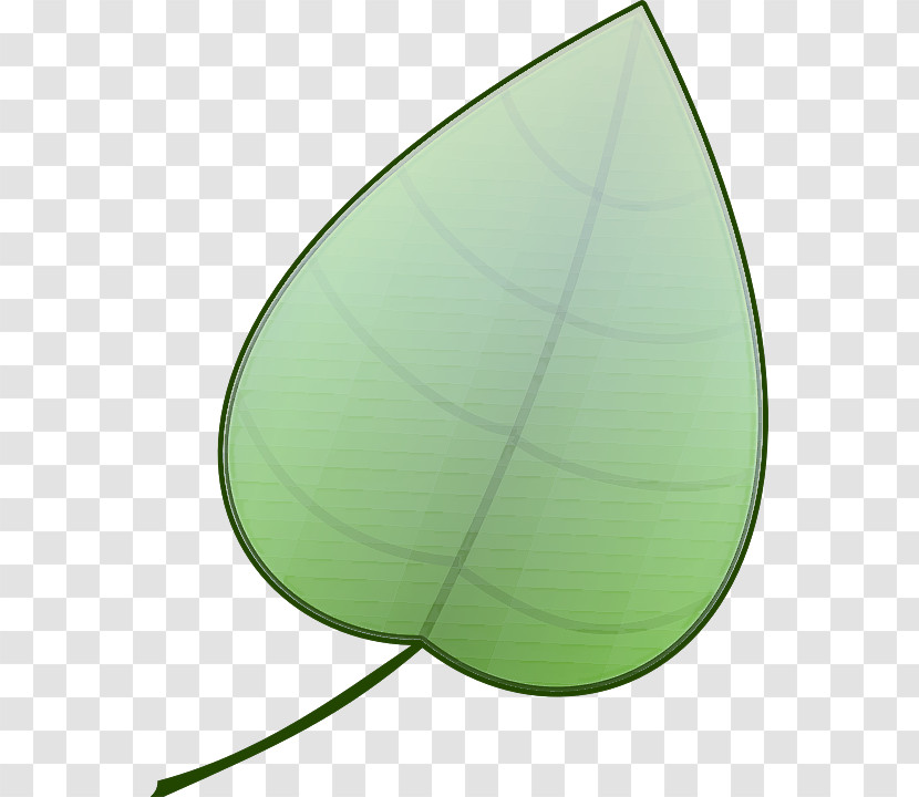 Leaf Green Plant Transparent PNG