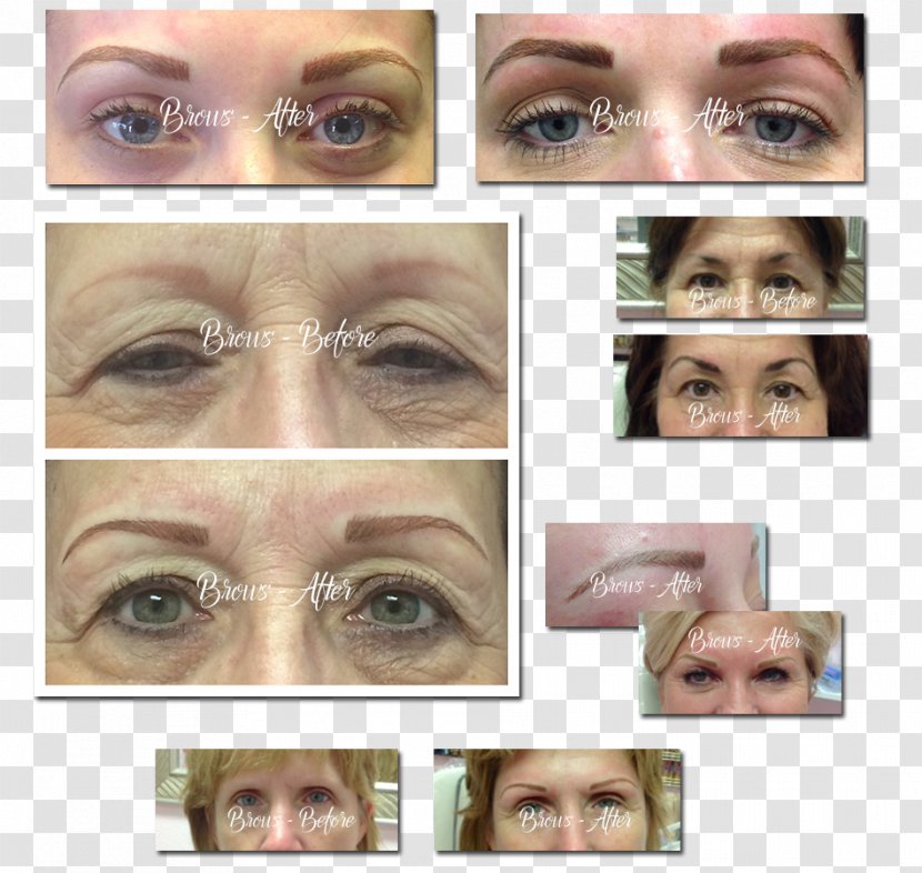 Eyelash Extensions Eyebrow Eye Shadow Cheek Chin - Lip - Nose Transparent PNG