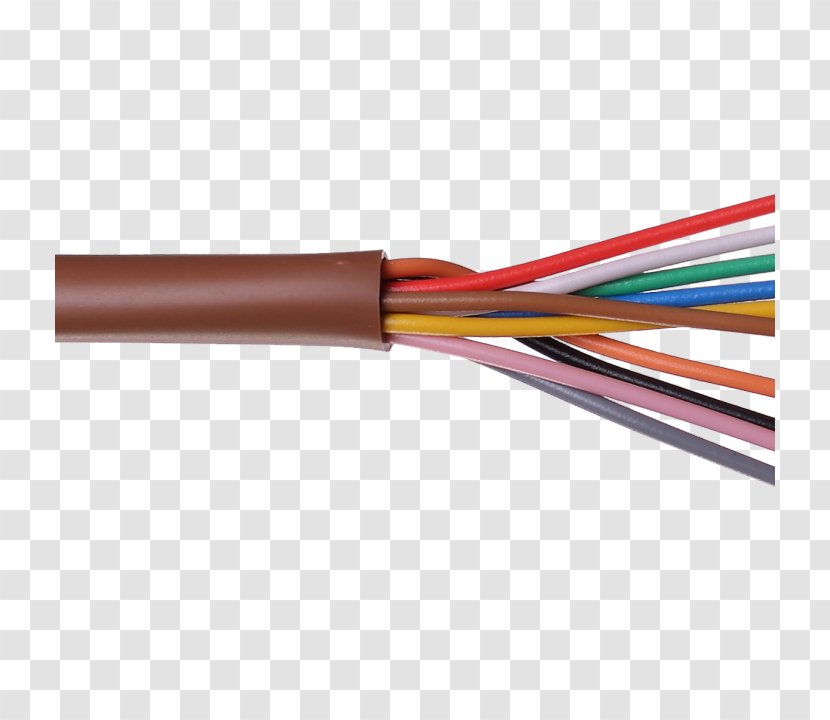 Network Cables American Wire Gauge Plenum Cable Electrical - Electric Transparent PNG