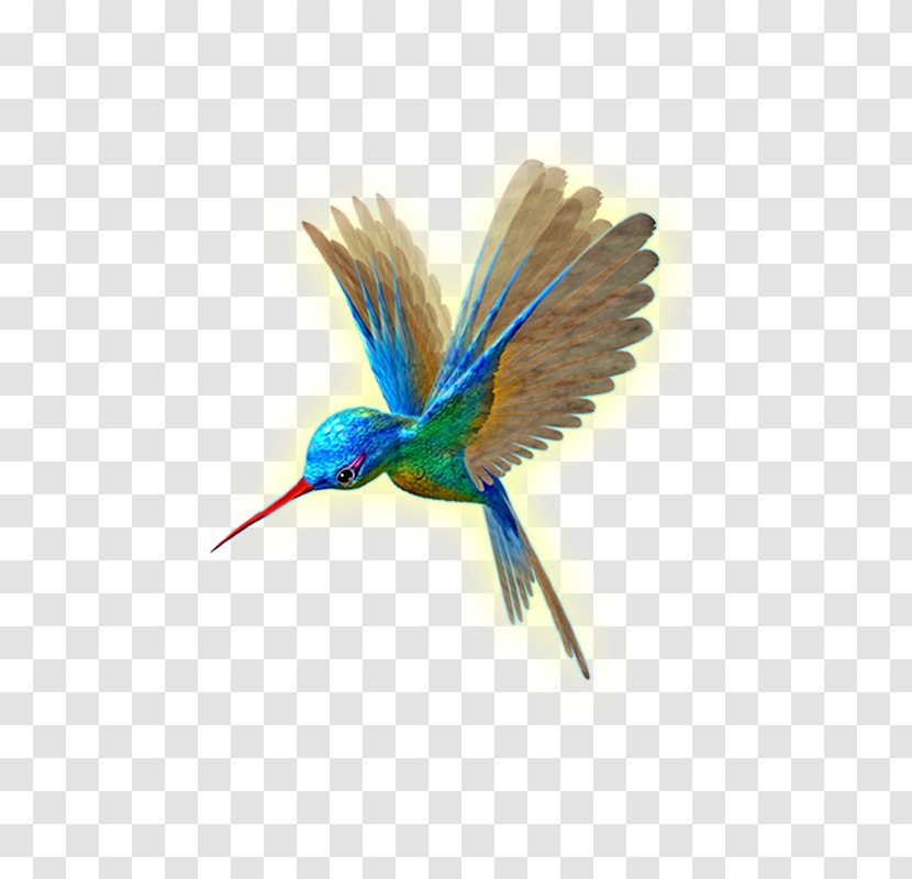 Hummingbird Wing Flight - Flower - Beija Dlor Transparent PNG