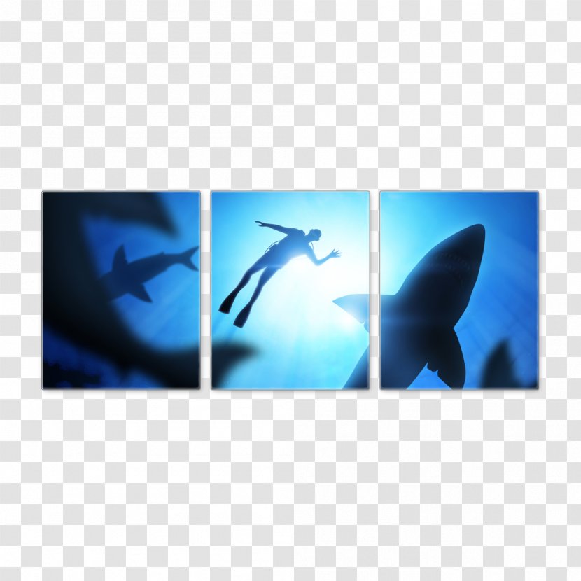 Great White Shark Swimming Hammerhead Finning - Heart Transparent PNG