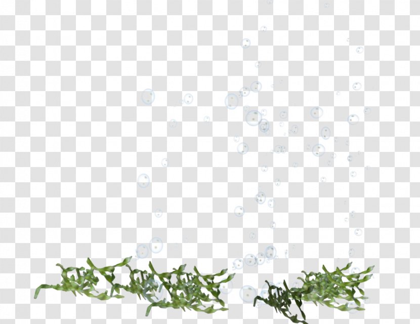 Twig Floral Design Green - Flora Transparent PNG