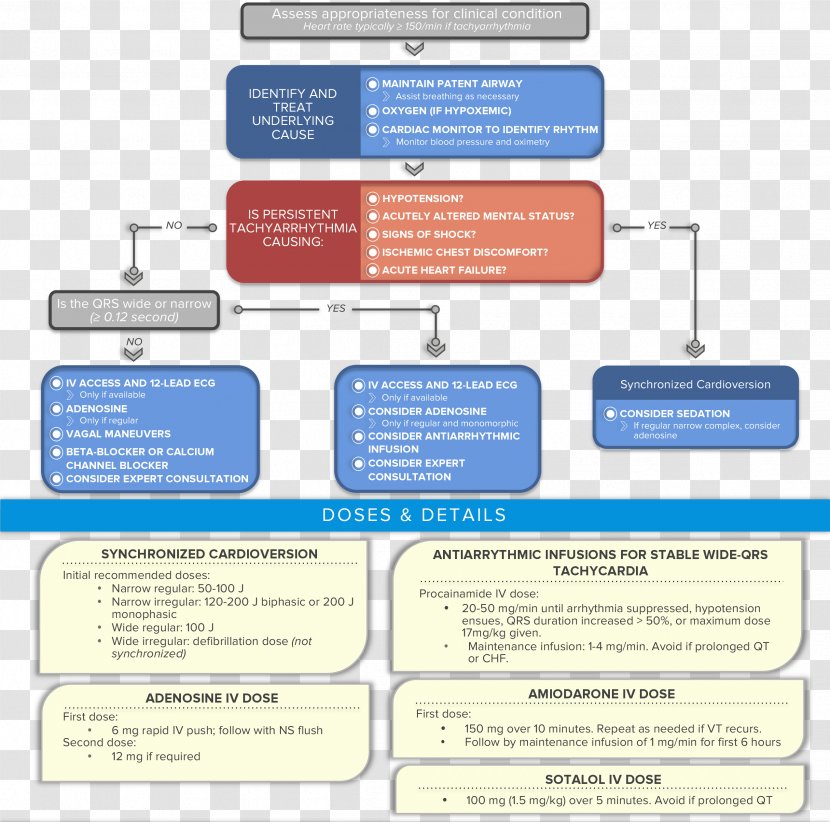 Advanced Cardiac Life Support Arrest Supraventricular Tachycardia Cardiology - Diagram - Algorithm Transparent PNG