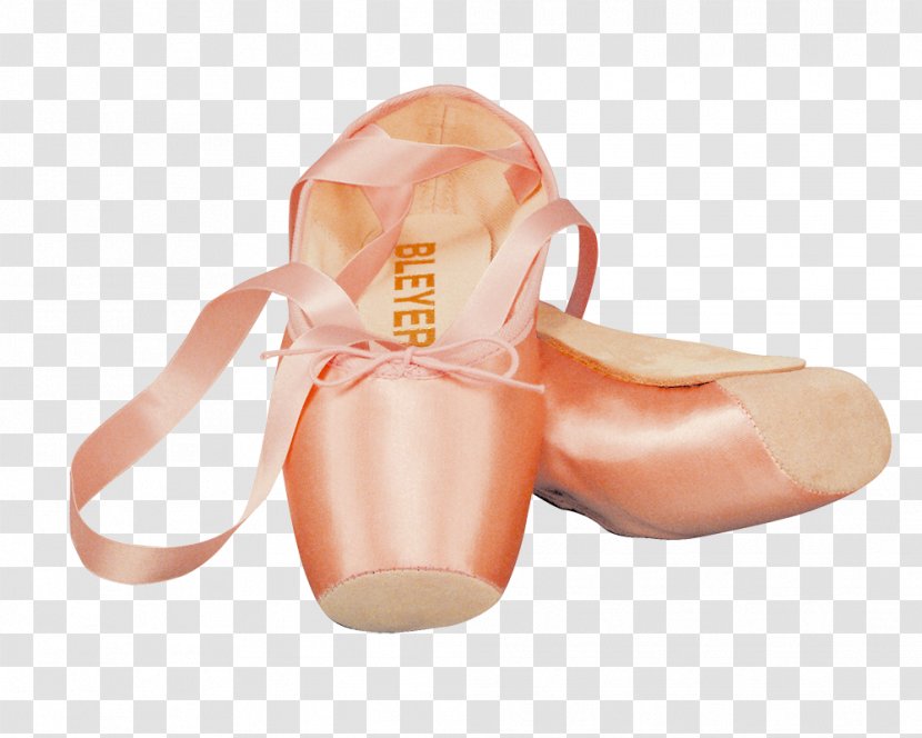 Pointe Shoe Tánccipő Ballet Leather - Flower Transparent PNG